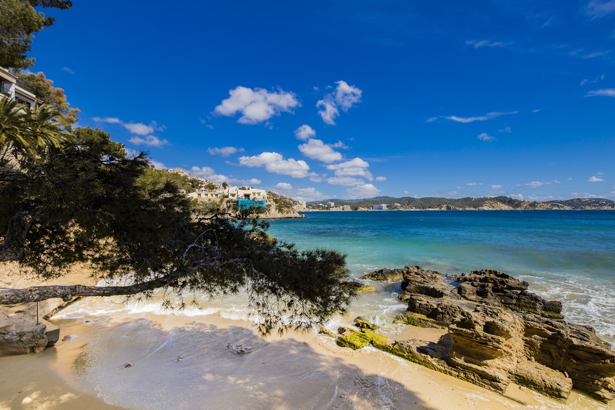 Cala Fornells – Strand mit fantastischen Blicken auf die Strände von Paguera und Santa Ponsa