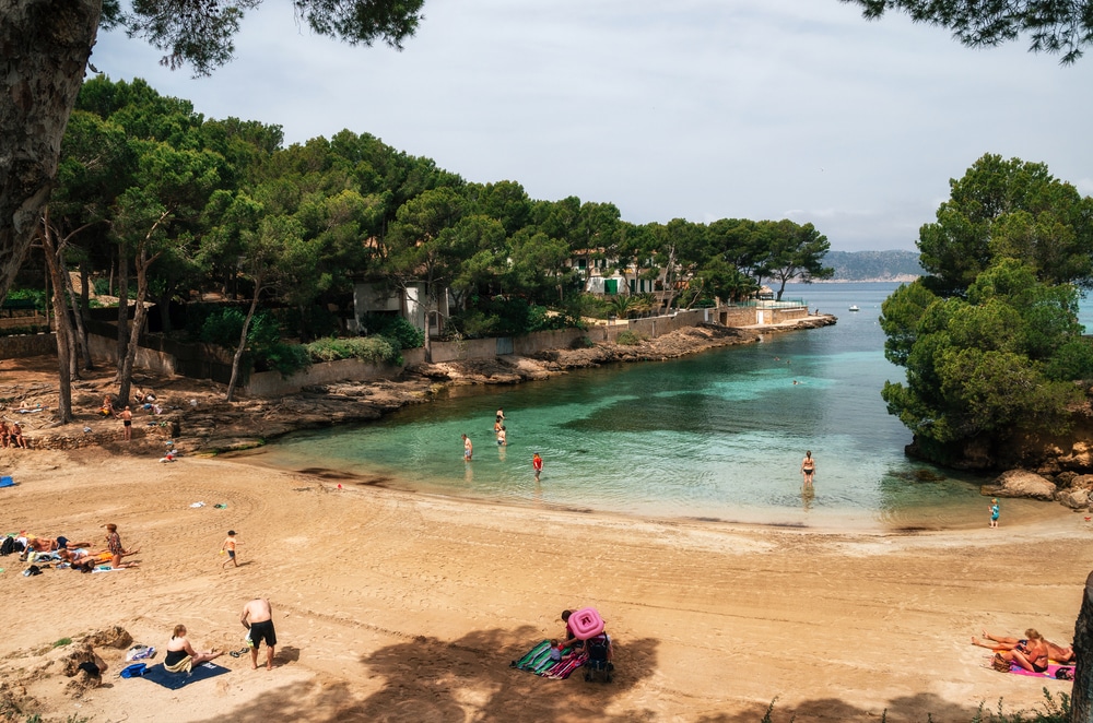Calo d’en Pellicer – schöne kleine Bucht mit Schatten spendenden Pinien im Südwesten Mallorcas