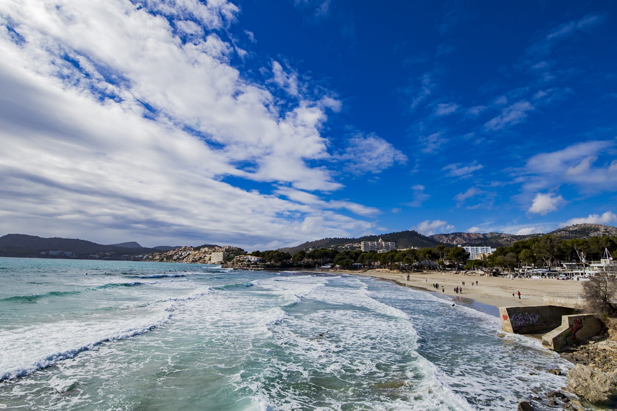 Playa de Tora: Feinsandiger und großflächiger Strand in Paguera