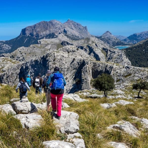 Wanderparadies Serra de Llevant: Die besten Routen für Naturliebhaber