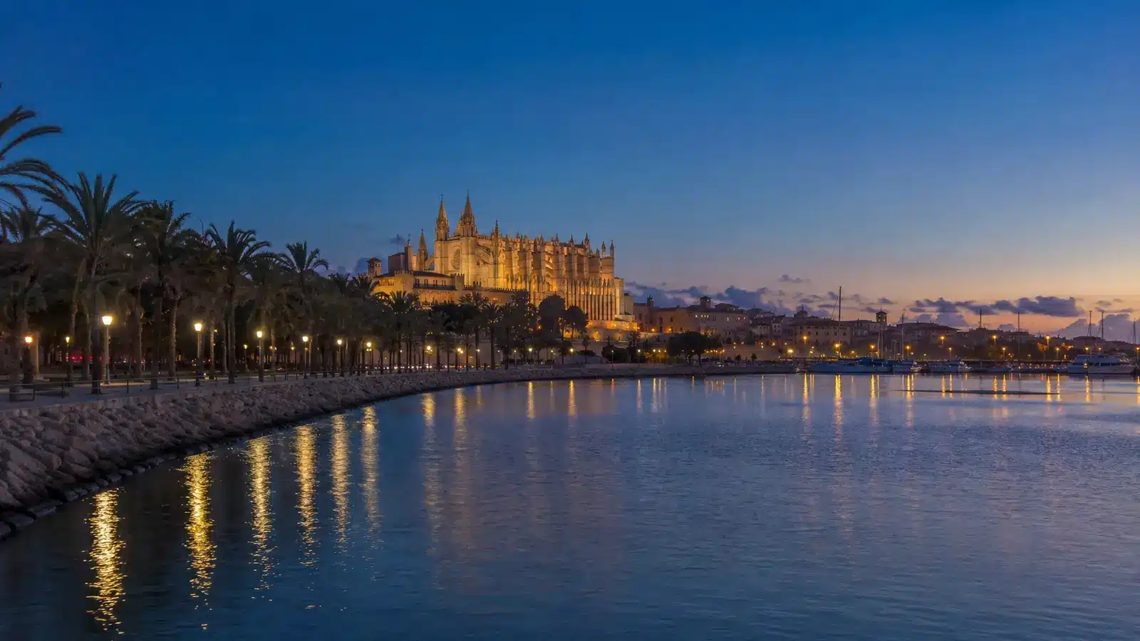 Palma in der blauen Stunde