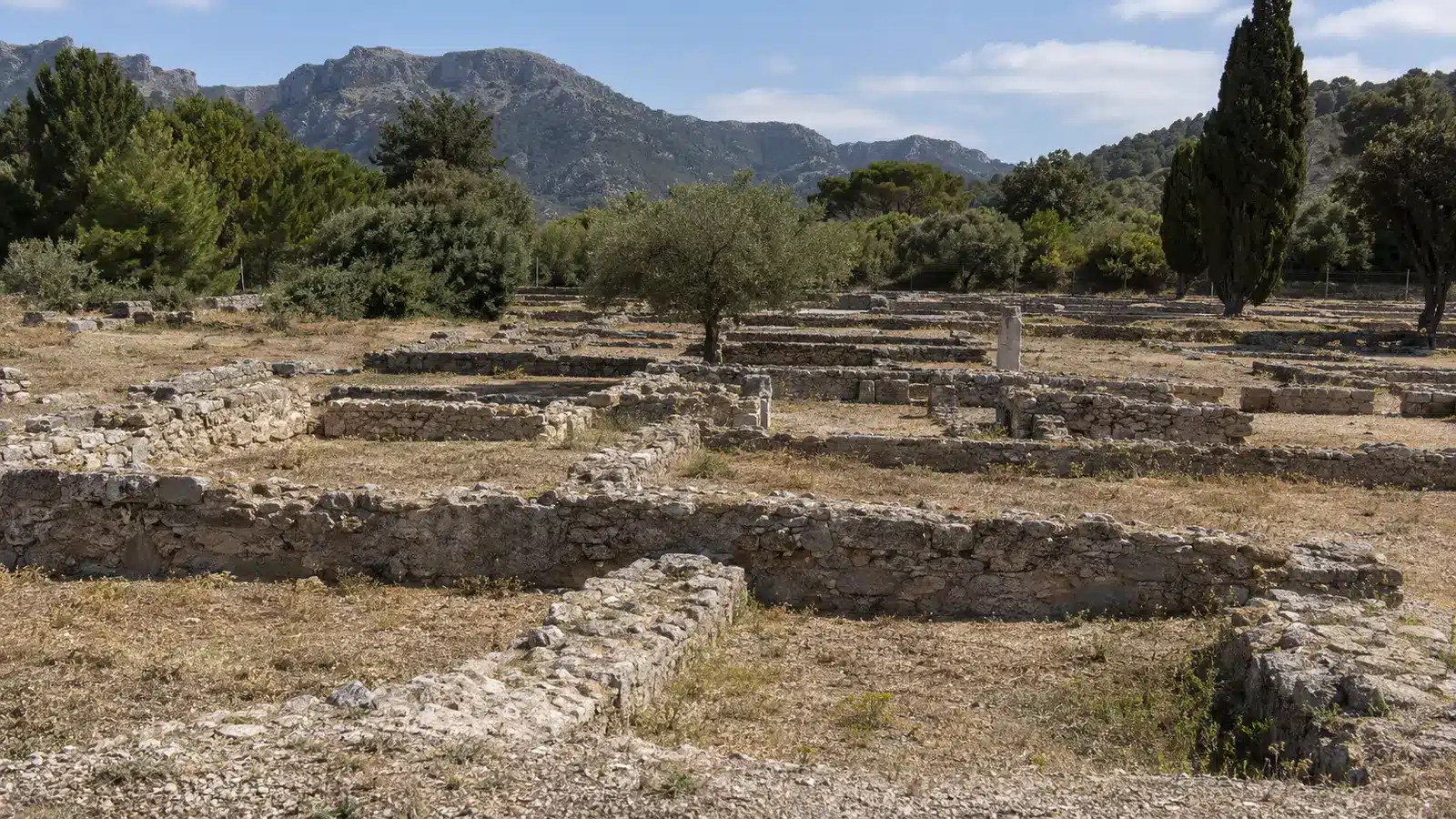 Zur Gemeinde Alcúdia gehören die historische Altstadt, Port d’Alcúdia, Mal Pas, Bonaire sowie weitere Küsten- und Naturbereiche. Dadurch lassen sich Kultur, Strand, Hafenleben und Ausflüge besonders gut miteinander verbinden. auf Mallorca – Sehenswürdigkeit und Landschaft