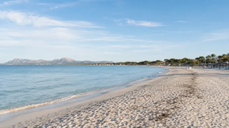 Heller Sandstrand von Alcúdia mit ruhigem türkisblauem Wasser und Blick auf die Berge der Bucht