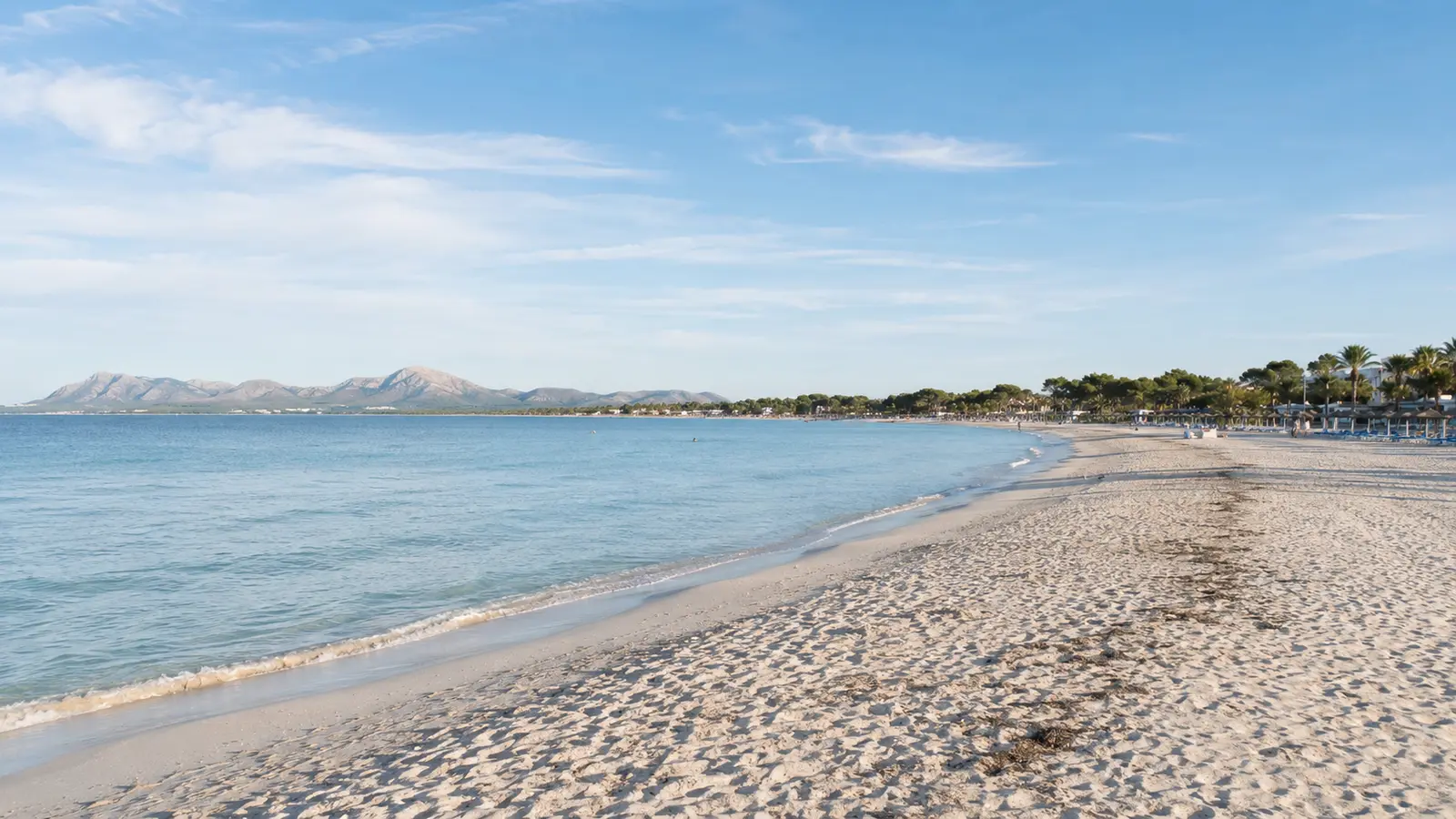 Zur Gemeinde Alcúdia gehören die historische Altstadt, Port d’Alcúdia, Mal Pas, Bonaire sowie weitere Küsten- und Naturbereiche. Dadurch lassen sich Kultur, Strand, Hafenleben und Ausflüge besonders gut miteinander verbinden. auf Mallorca – Strand, Küste und Atmosphäre