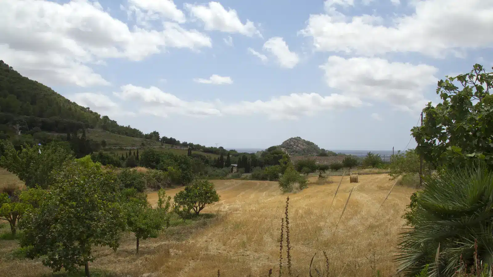 Fotoshooting in Randa gehört zur Gemeinde Algaida. Die Seite behandelt den Ort als eigenständiges Reiseziel, verbindet ihn aber mit den Landschaften, Angeboten und Ausflugszielen des Gemeindegebiets. auf Mallorca