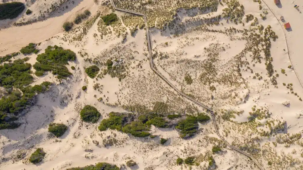 Geschütztes Dünensystem mit Holzsteg hinter dem Strand von Cala Mesquida auf Mallorca