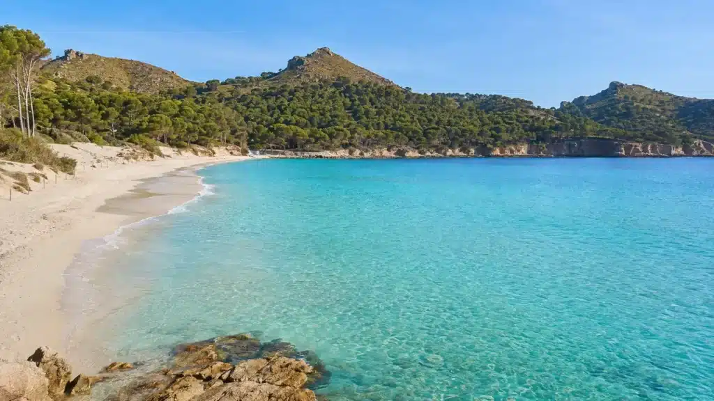 Türkisfarbenes Wasser und heller Sand an der Cala Agulla bei Cala Ratjada