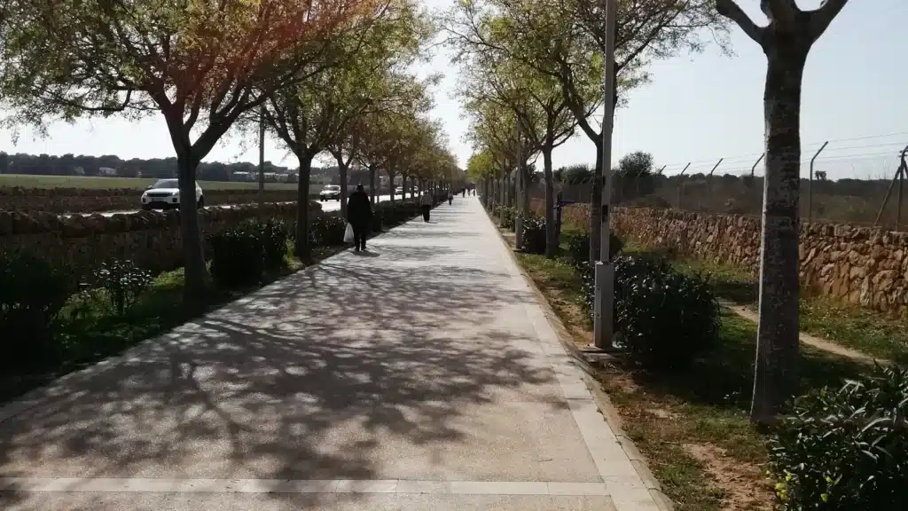 Calvià auf Mallorca – authentische Ortsansicht und Landschaft