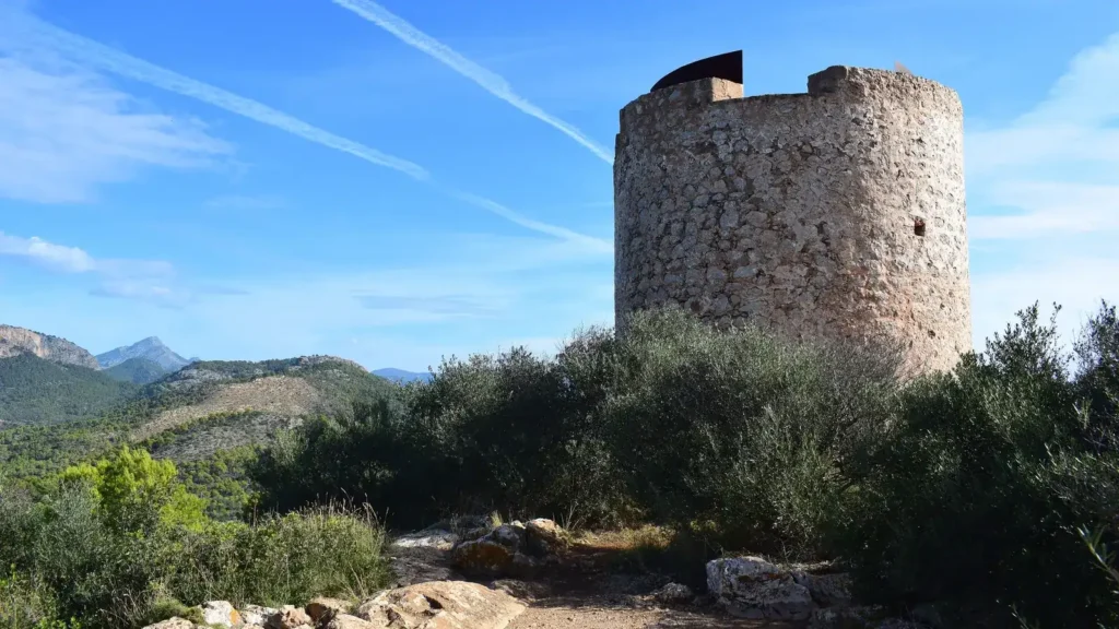 Camp de Mar auf Mallorca mit Küsten- oder Ortslandschaft