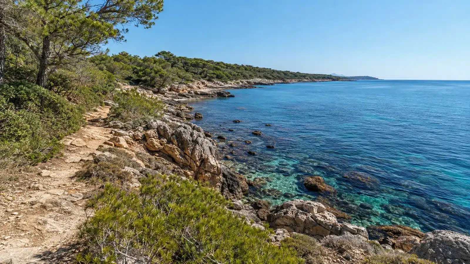 Naturbelassene Felsküste und Dünenlandschaft von Son Real in Can Picafort auf Mallorca