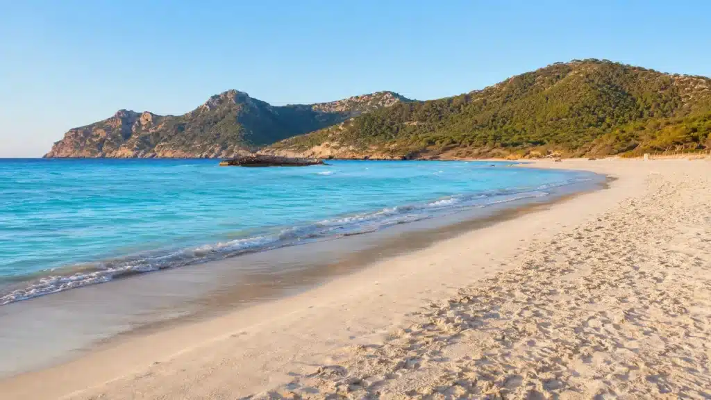 Weiter Sandstrand der Cala Agulla mit blauem Meer und bewaldeten Hügeln