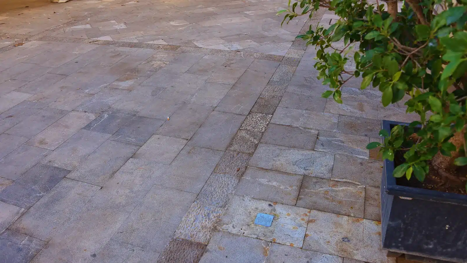Consell auf Mallorca – authentische Ortsansicht und Landschaft