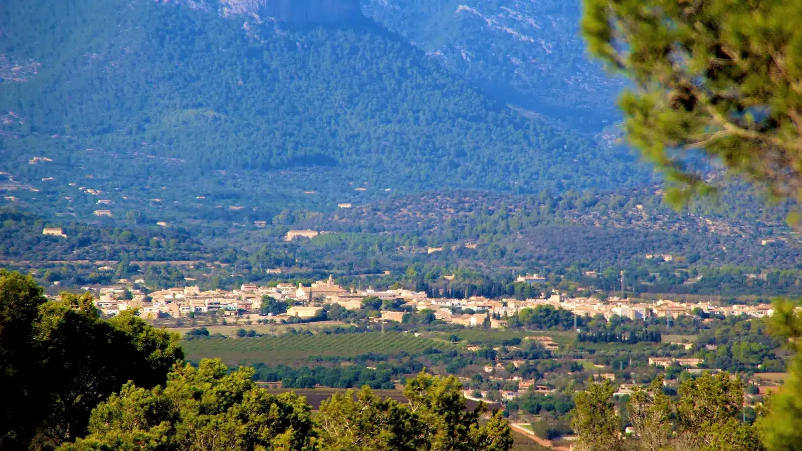 Consell liegt im Raiguer zwischen Palma, Binissalem und den ersten Tramuntana-Ausläufern. Der Ort ist ein kompakter Weinort am Fuß der Serra de Tramuntana und eignet sich als Ausgangspunkt für Binissalem, Santa Maria del Camí, Alaró. Ortskern, Landschaftsziele und mögliche Küstenstopps sollten wegen unterschiedlicher Zufahrten getrennt geplant werden. auf Mallorca – Strand, Küste und Atmosphäre