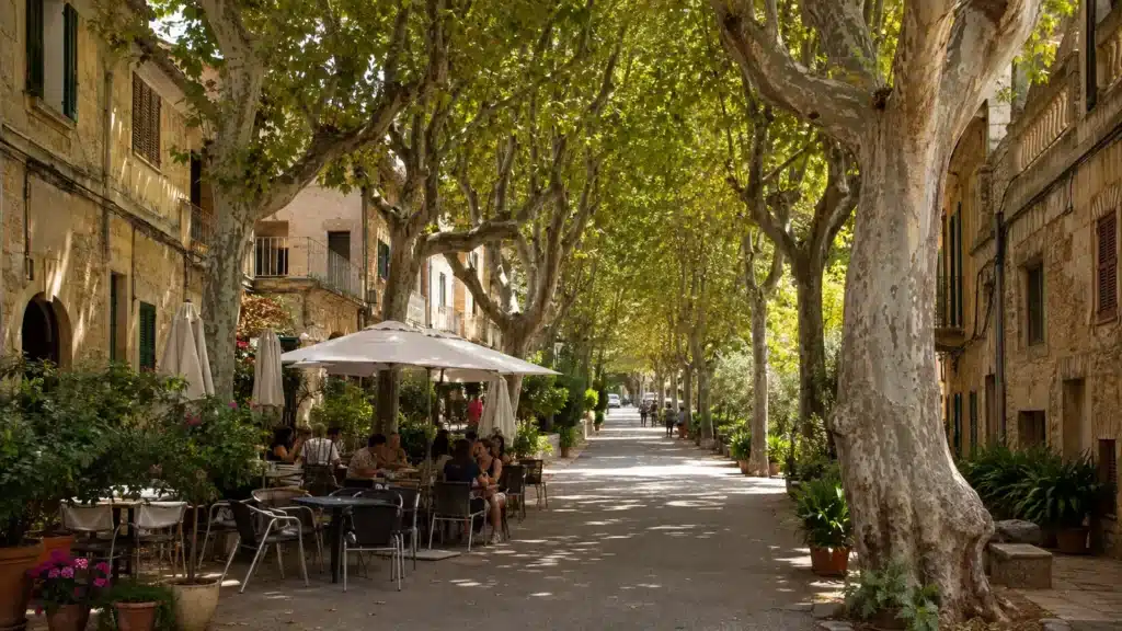 Baumgesäumter Passeig mit Cafés und Sandsteinhäusern in Esporles auf Mallorca