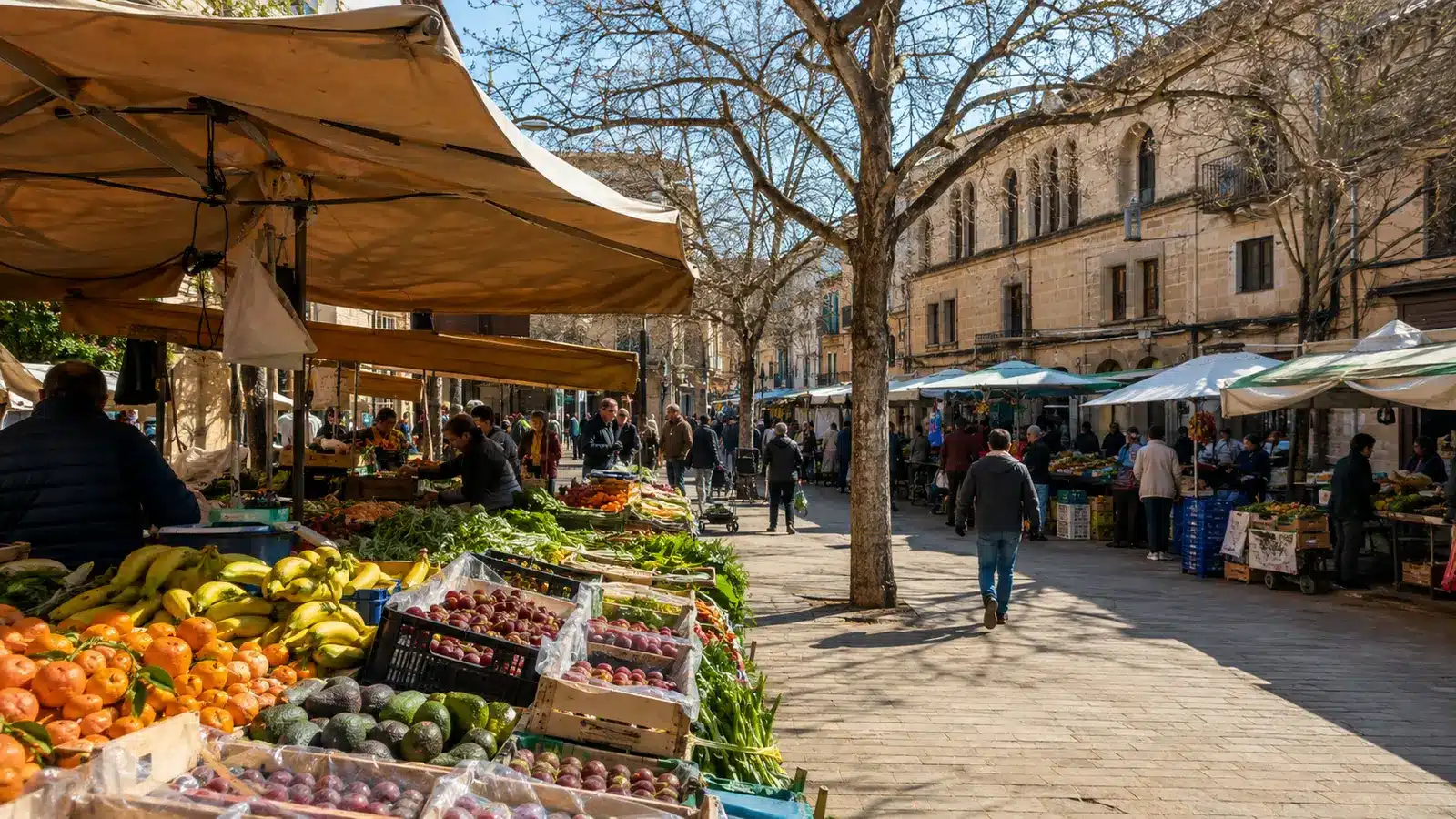 Manacor ist Verwaltungssitz der gleichnamigen Gemeinde und eine der größten Städte der Insel. auf Mallorca – Sehenswürdigkeit und Landschaft