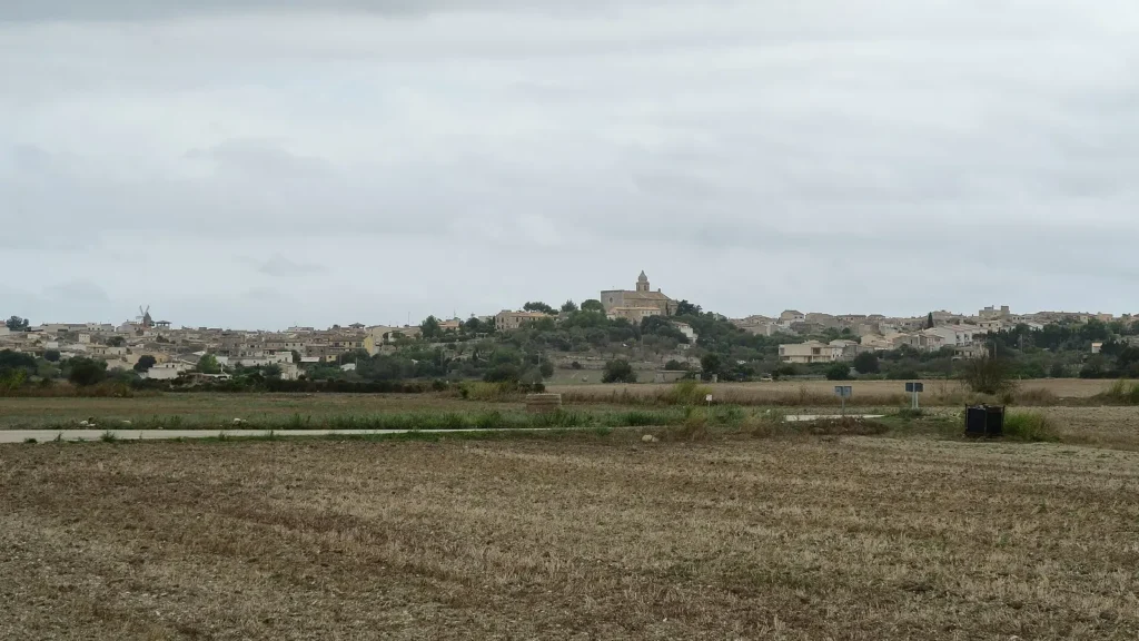Blick auf Maria de la Salut von der Ma-3513