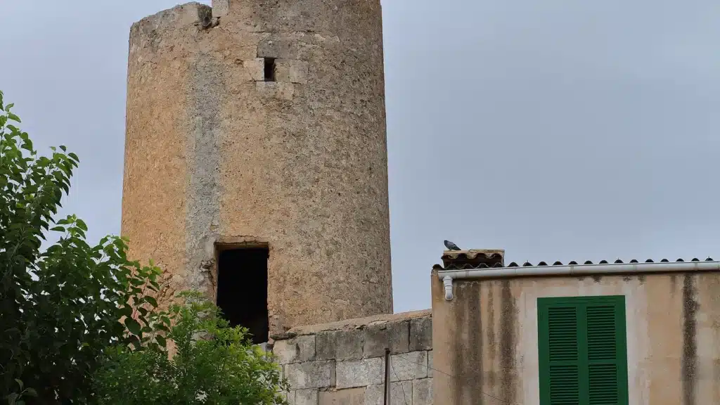 Traditionelle Windmühle in Maria de la Salut