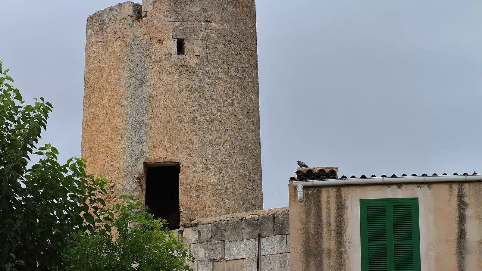Fotoshooting in Maria de la Salut liegt zwischen Feldern, Windmühlen und der nicht weit entfernten Bucht von Alcúdia. Der Ort ist ein ländlicher Hauptort im nördlichen Pla de Mallorca und eignet sich als Ausgangspunkt für Ariany, Santa Margalida, Sineu. Ortskern, Landschaftsziele und mögliche Küstenstopps sollten wegen unterschiedlicher Zufahrten getrennt geplant werden. auf Mallorca