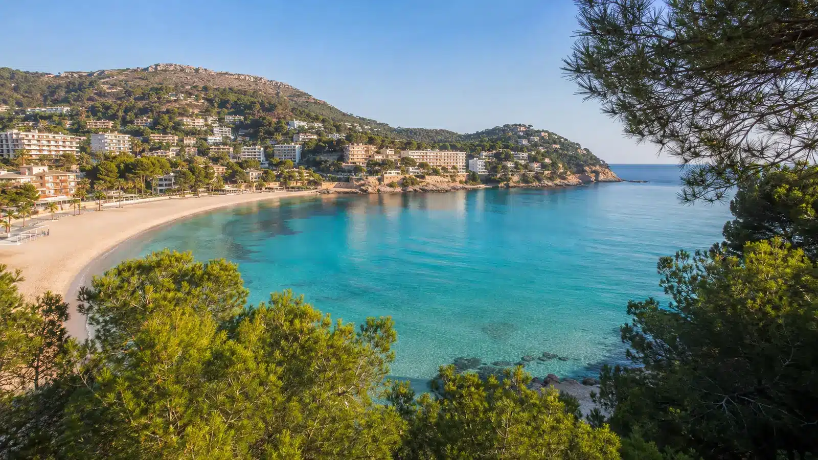 Costa de la Calma gehört zur Gemeinde Calvià. Die Seite behandelt den Ort als eigenständiges Reiseziel, verbindet ihn aber mit den Landschaften, Angeboten und Ausflugszielen des Gemeindegebiets. auf Mallorca – Sehenswürdigkeit und Landschaft
