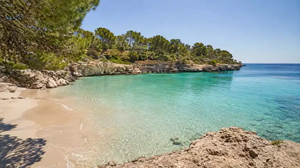 Sandstrand und türkisfarbenes Wasser in der von Pinien gesäumten Cala Marçal