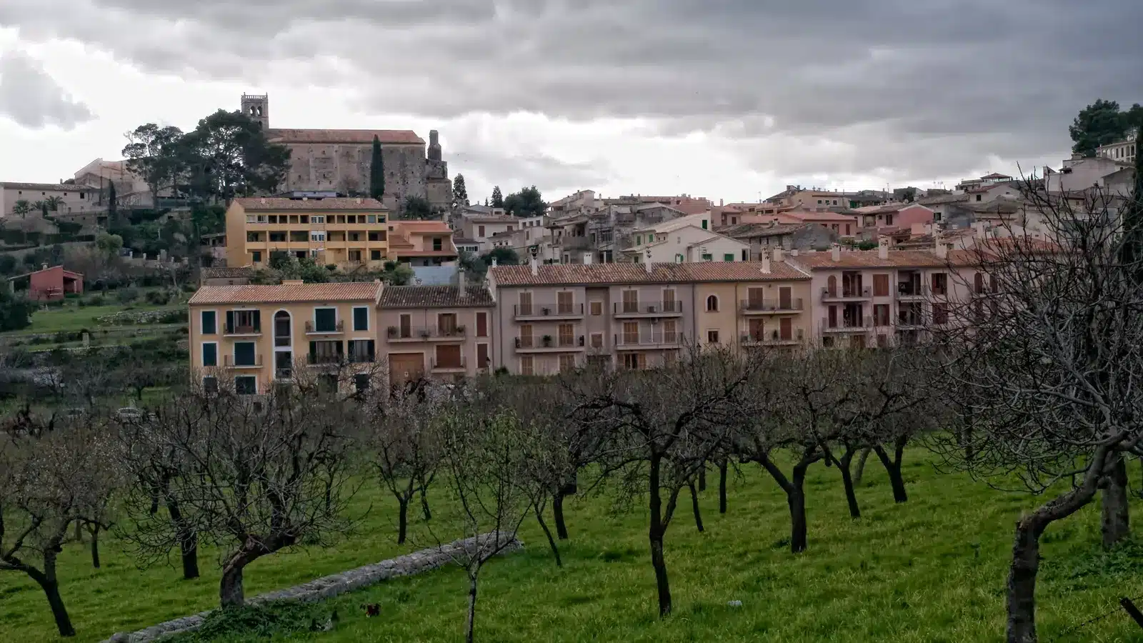Selva gehört zur Region Raiguer und Tramuntana-Vorland. Der Ort liegt am Fuß der Serra de Tramuntana oberhalb von Inca und ist als bergnaher gemeindehauptort ein sinnvoller Ausgangspunkt für Inca, Campanet, Caimari. auf Mallorca – Strand, Küste und Atmosphäre