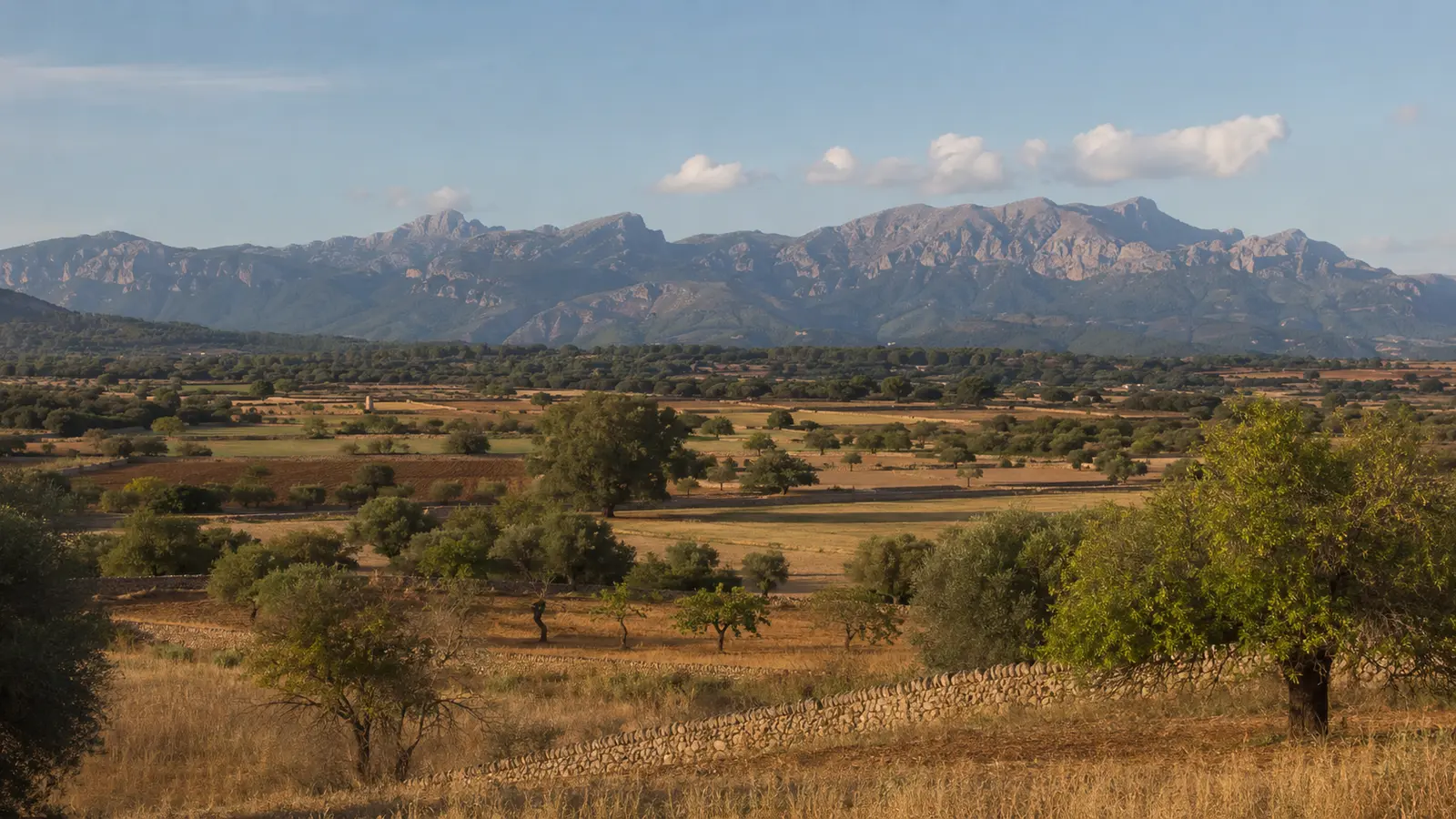 Fotoshooting in Sineu ist eine eigenständige Gemeinde in der landwirtschaftlich geprägten Inselmitte. auf Mallorca