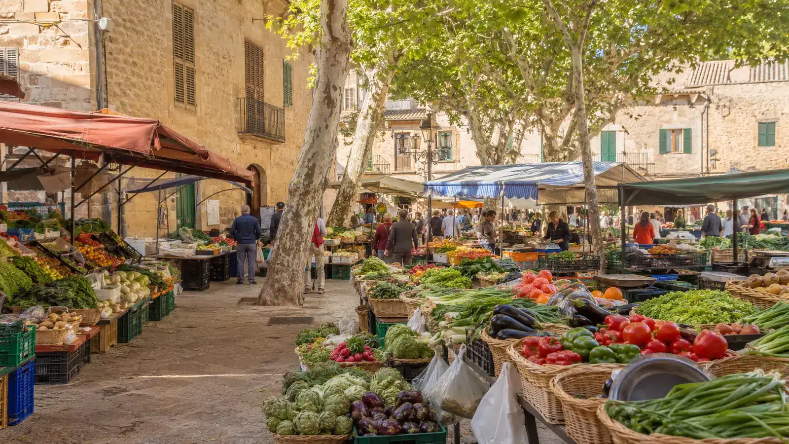 Sineu ist eine eigenständige Gemeinde in der landwirtschaftlich geprägten Inselmitte. auf Mallorca – Sehenswürdigkeit und Landschaft